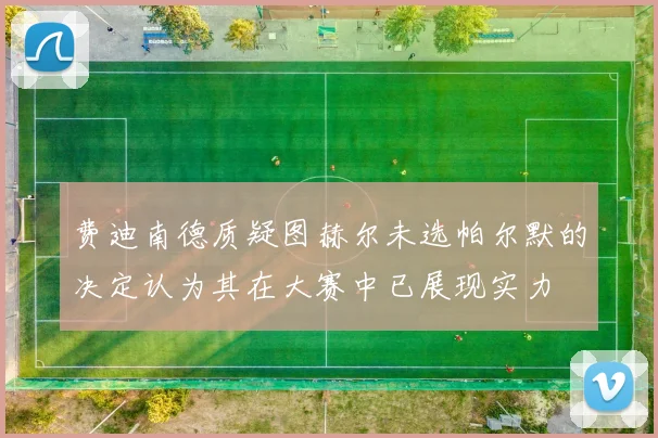 费迪南德质疑图赫尔未选帕尔默的决定认为其在大赛中已展现实力